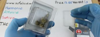 AltaVie Harmonic Weed Review