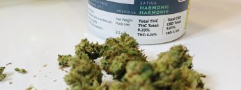 AltaVie Harmonic Weed Review