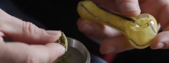 how_to_pick_weed_pipe