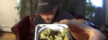 LBS Ocean View Weed Review